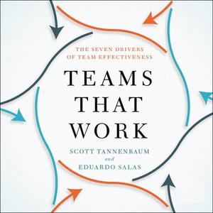 Teams That Work The Seven Drivers of Team Effectiveness [Audiobook]