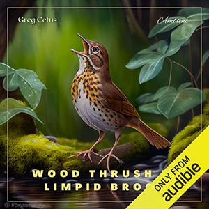 Wood Thrush in Limpid Brook Gentle Birdsong and Water Trickle [Audiobook]
