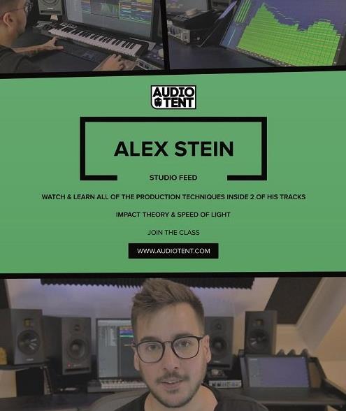 Audiotent Studio Feed Alex Stein Course