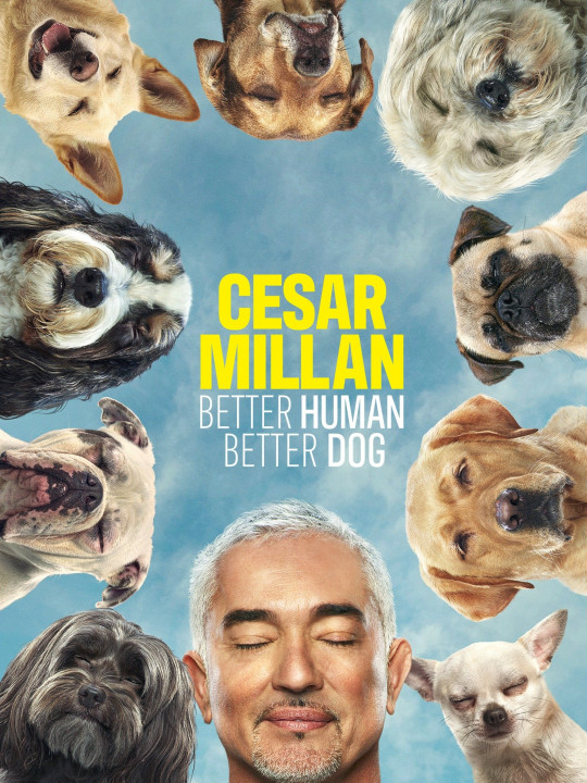 Cesar Millan: lepszy człowiek, lepszy pies / Cesar Millan: Better Human Better Dog (2022) [SEZON 3] PL.1080i.HDTV.H264-B89 | POLSKI LEKTOR