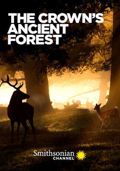   / The Crown's Ancient Forest (2021) HDTVRip