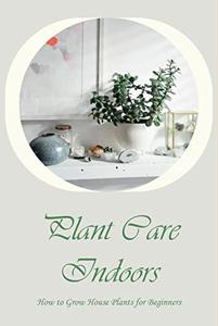 Plant Care Indoors How to Grow House Plants for Beginners An Introduction to Growing House Plants