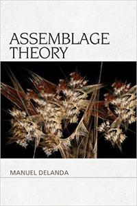 Assemblage Theory