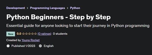 Python Beginners - Step by Step (2023)