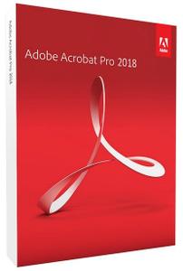 Adobe Acrobat Pro DC 2022.003.20314 Portable (x64)