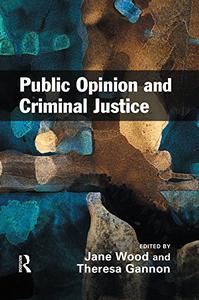 Public Opinion and Criminal Justice Context, Practice and Values