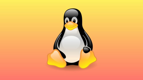 Linux Beginner Commands – Basics of Linux Command Line