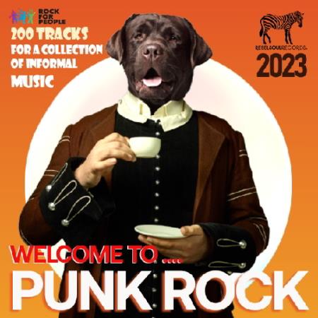 VA - Welcome To Punk Rock (2023) 
