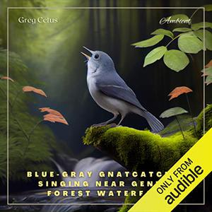 Blue-gray Gnatcatcher Singing Near Gentle Forest Waterfall Nature Sounds for Yoga and Relaxation [Audiobook]