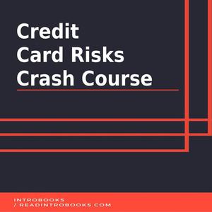 Credit Card Risks Crash Course by Introbooks Team
