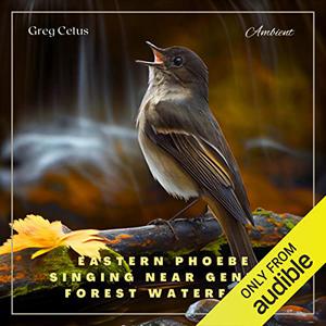 Eastern Phoebe Singing Near Gentle Forest Waterfall Natural Ambience for Coding and Meditation [Audiobook]