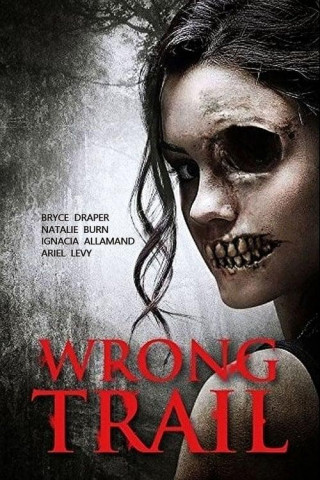 Wrong Trail Tour in den Tod 2016 German Dl 1080p BluRay x264-Encounters