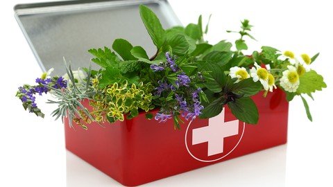 Herbalism  Essential First Aid Remedies Certificate
