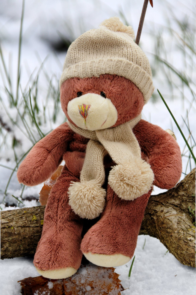 My teddy bear - Page 40 34772bf0b67495af48704407b482ec64