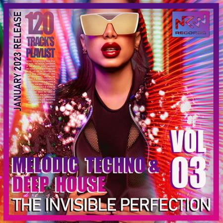 Картинка The Invisible Perfection Vol.03 (2023)