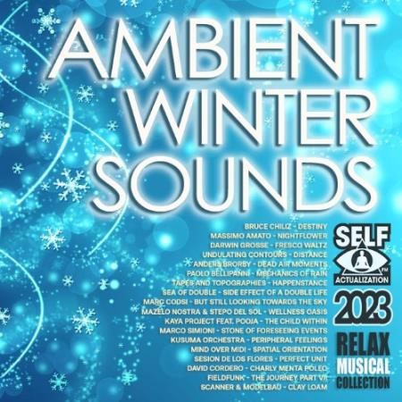 VA - Ambient Winter Sounds (2023) 