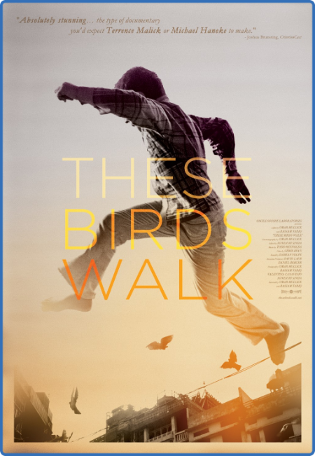 These Birds Walk (2012) 720p WEBRip x264 AAC-YTS