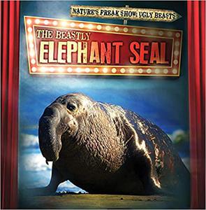 The Beastly Elephant Seal