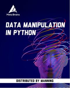 Data Manipulation in Python [Video]