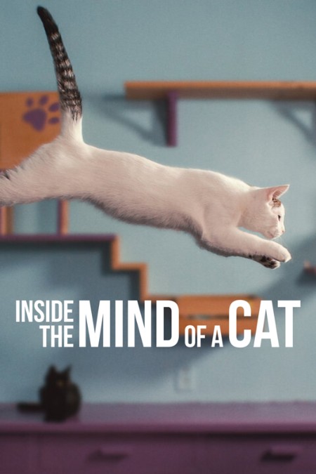 Inside The Mind Of A Cat (2022) 2160p 4K WEB 5.1 YTS