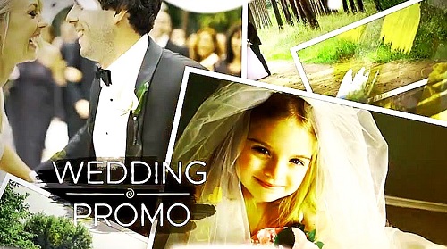 Wedding Brush Promo 90234843 - Project for After Effects