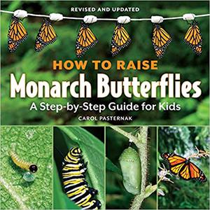 How to Raise Monarch Butterflies A Step-by-Step Guide for Kids