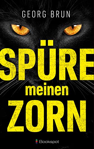 Cover: Brun, Georg  -  Nathan Weiß ermittelt 1  -  Spüre meinen Zorn