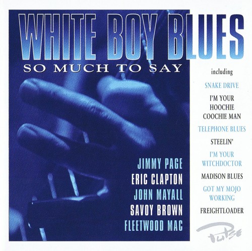 VA - White Boy Blues - So Much to Say (1997) Lossless+mp3