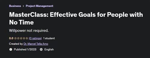 MasterClass Effective Goals for People with No Time