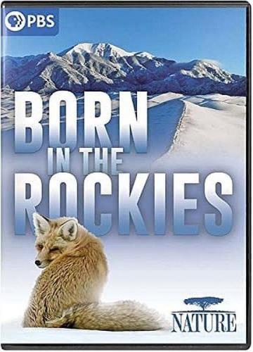     / Born in the Rockies (2021) HDTVRip 720p