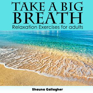 Take A Big Breath For Adults by Shauna Gallagher