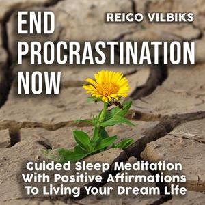 End Procrastination Now by Reigo Vilbiks