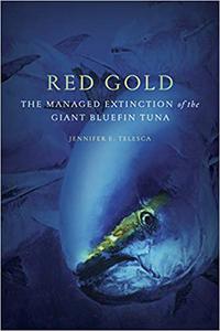 Red Gold The Managed Extinction of the Giant Bluefin Tuna