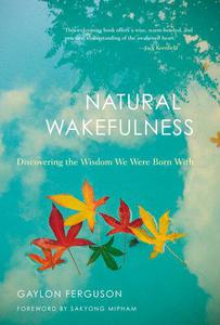 Natural Wakefulness Discovering the Wisdom We Were Born With