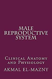 Male Reproductive System Clinical Anatomy and Physiology