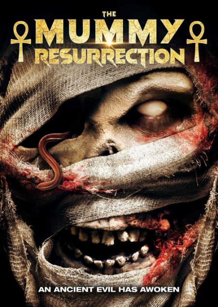 The Mummy Resurrection 2022 1080p WEBRip x264 AAC-AOC