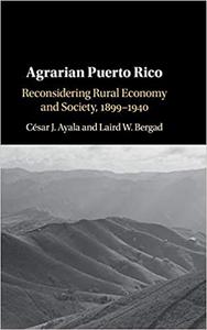 Agrarian Puerto Rico Reconsidering Rural Economy and Society, 1899-1940