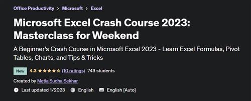 Microsoft Excel Crash Course 2023 Masterclass for Weekend