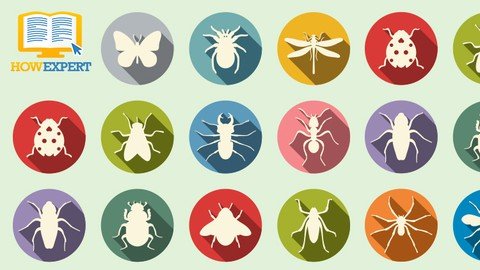 Howexpert Guide To Insects