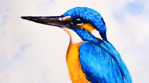 Watercolor Painting Kingfisher; Best Techniques For Success