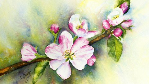 Watercolor Painting Apple Blossom; Best Success Techniques