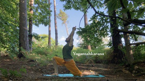 Beginners Yoga Course – Start Your Journey In The Best Way