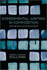 Experimental Writing in Composition Aesthetics and Pedagogies