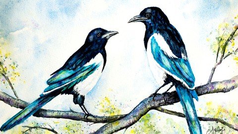 Watercolor Painting Magpie Birds; Best Techniques To Success