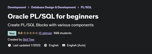 Oracle PL/SQL for beginners