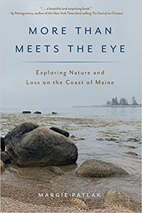 More Than Meets the Eye Exploring Nature and Loss on the Coast of Maine