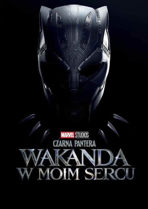 Czarna Pantera: Wakanda w moim sercu / Black Panther: Wakanda Forever (2022) PLDUB.480p.BDRiP.x264.AC3-LTS ~ Dubbing PL
