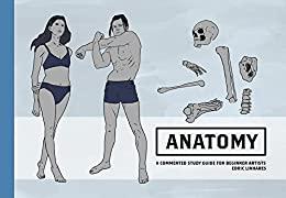 Anatomy A commented study guide for beginner artists