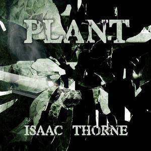 Plant by Isaac Thorne