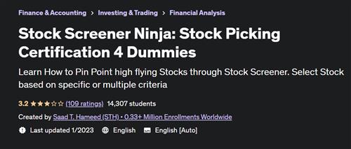 Stock Screener Ninja Stock Picking Certification 4 Dummies